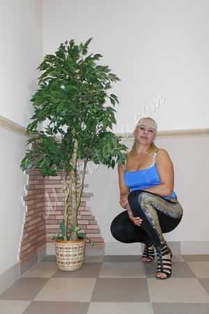 Катя, 8-915-1849455 Катя, 89151849455